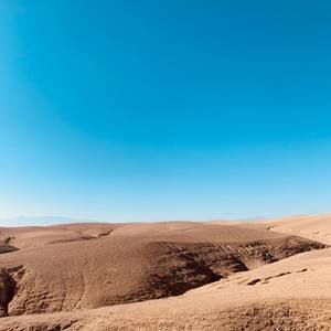 Meet your Posher, Paul